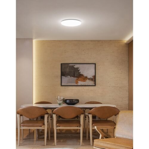 47377 - Luminario LED 22W plafón decorativo liso, luz de día, BASIC