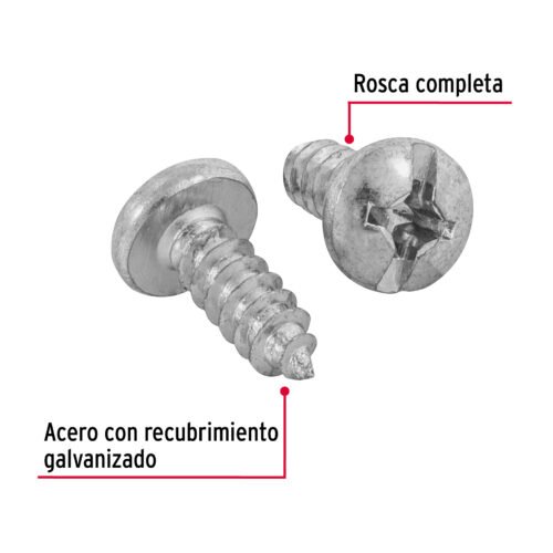 48730 - Bolsa con 100 pijas para lámina, #12 x 5/8", FIERO