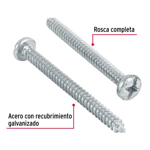 487311 48731 - Bolsa con 100 pijas para lámina, #12 x 2-1/2", FIERO