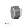 48785 48785 - Tapón macho 2" de acero galvanizado, Foset