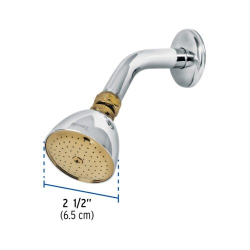 49147 - Regadera cónica 2-1/2" cromo-oro brazo y chapetón acero