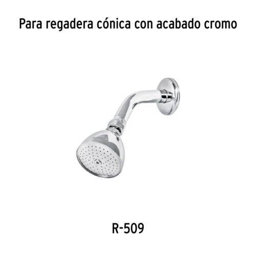 49449 - Regadera cónica metálica 2-1/2" sin brazo, Foset Aqua