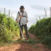 FS 120 | Desmalezadora a gasolina STIHL
