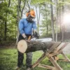 MS 250 | Motosierra a gasolina espada 20", cadena .325" STIHL