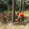 272XP – 5 Motosierra Husqvarna 272 XP barra 28" paso 3/8"