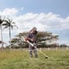 FS 351L | Desmalezadora a gasolina STIHL