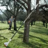 HT 56 C-E | Podadora de altura a gasolina STIHL