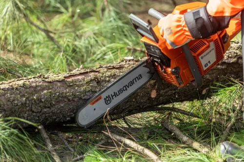 Motosierra Husqvarna 61