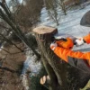 MS 661 | Motosierra a gasolina espada 36", cadena 3/8" STIHL