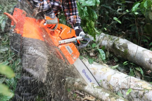 Motosierra Husqvarna 365