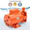 Bomba centrífuga doméstica 3/4 HP Evans
