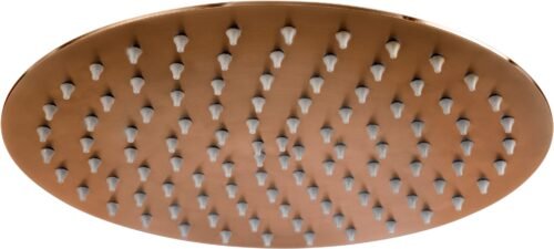 Regadera de plato redonda de 25cm INOX® Bronce - 2225INOX.8