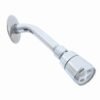 Regadera 2" de cebolla - 3003B