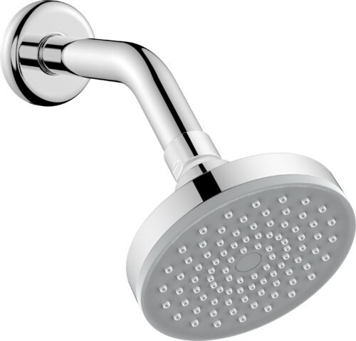 Regadera de cebolla con brazo y chapetón - 3031B