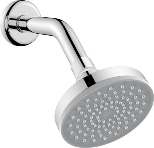 Regadera de cebolla con brazo y chapetón - 3031B