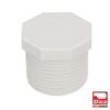 Tapon Rosca Ext Pvc Hid C-40 3/4" - 401PVC.19