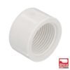 Tapon Rosca Int Pvc Hid C-40 1/2" - 406PVC.13