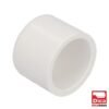 Tapon De Pvc Hid Ced-40 1/2" - 411PVC.13