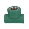 TEE CENTRAL HEMBRA - 412PPR03.20