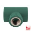 TEE CENTRAL HEMBRA - 412PPR03.20