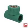 TEE CENTRAL HEMBRA - 412PPR03.20