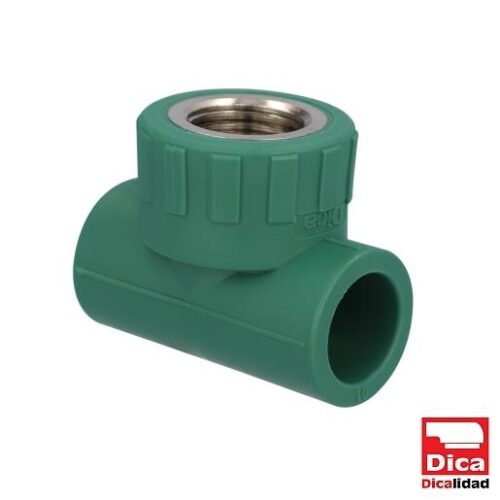 TEE CENTRAL HEMBRA - 412PPR03.20