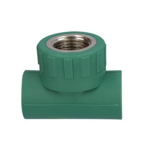 TEE CENTRAL HEMBRA - 412PPR03.20
