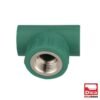 TEE CENTRAL HEMBRA - 412PPR03.20