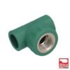 TEE CENTRAL HEMBRA - 412PPR03.20