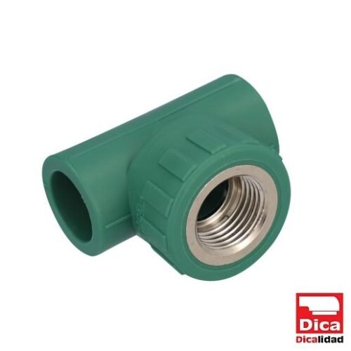 TEE CENTRAL HEMBRA - 412PPR03.20