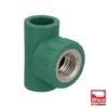 TEE CENTRAL HEMBRA - 412PPR03.20