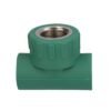 TEE CENTRAL HEMBRA - 412PPR03.20
