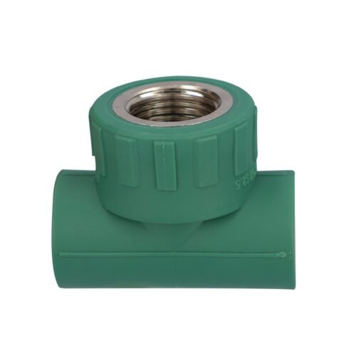 TEE CENTRAL HEMBRA - 412PPR03.20