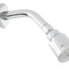 Regadera  2" de cebolla - 4501B