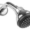 Regadera 2 1/2" de cebolla - 4506B