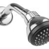 Regadera 2 1/2" de cebolla - 4506B