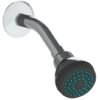 Regadera 2 1/2" de cebolla - 4506BL