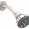 Regadera 2 1/2" de cebolla - 4506BV