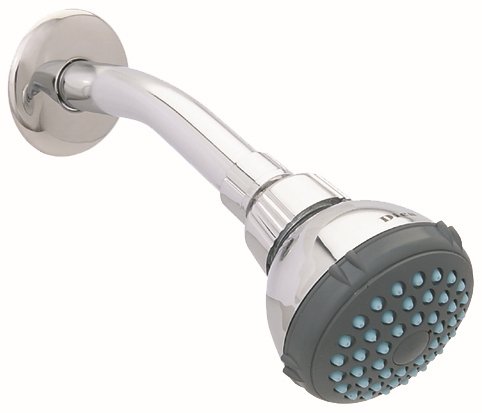 Regadera 2 1/2" de cebolla - 4506BV