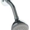 Regadera 3" de cebolla - 4526BL