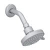 Regadera 3" de cebolla - 4529BL