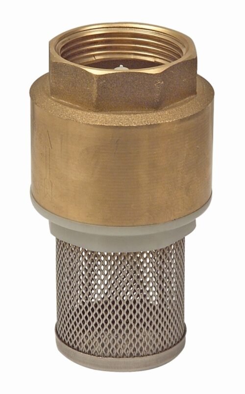 Pichancha canastilla y resorte de acero inoxidable de 1" - 45P.25