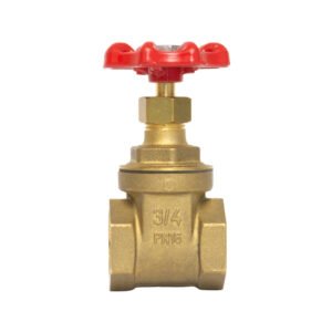 Válvula roscada de compuerta de 3/4" - IP-604