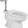 Taza con fluxómetro expuesto ecológico con sensor de batería - KWC8506E