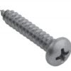 Pija 10 x 1" cabeza philips tropicalizado - R223093