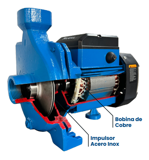 BC1-100-3 Bomba centrífuga 1HP Marshall